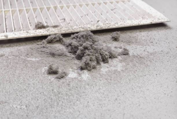 Best Local Air Duct Cleaning Services  in Grover Beach, CA